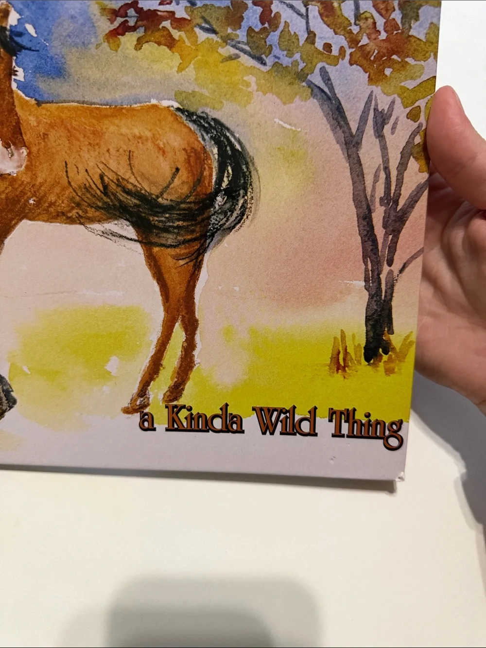 Itchy Bump, a Kinda Wild Thing Hardcover Book by Dr Bob Johnston & Lori Meyer